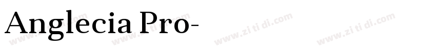 Anglecia Pro字体转换